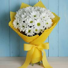 Букет цветов из:  Хризантемы в Сасыколи