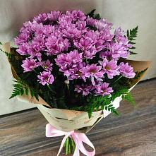 Букет цветов из:  Хризантемы #REPLACE_PRED# Сасыколи