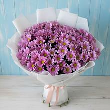 Букет цветов из:  Хризантемы в Сасыколи