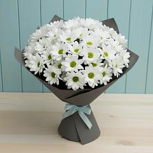 Букет цветов из:  Хризантемы в Сасыколи