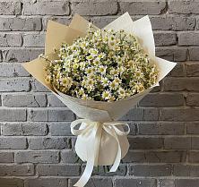 Букет цветов из:  Ромашки в Сасыколи