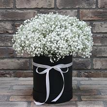 Цветочная композиция из Гипсофила в шляпной коробке в Сасыколи