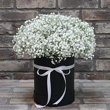 Цветочная композиция из Гипсофила в шляпной коробке в Сасыколи