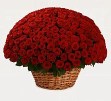 Премиум букет из: Розы в Сасыколи