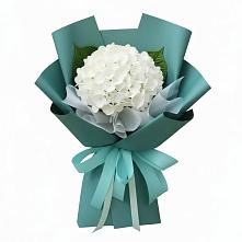 Букет цветов из:  Гортензия #REPLACE_PRED# Сасыколи